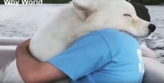 why-world-video-spot-zagrljaji-životinje