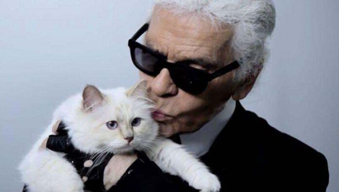 karl-lagerfeld-mačka-šupet