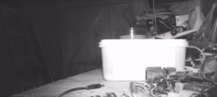 miš-video-slaže