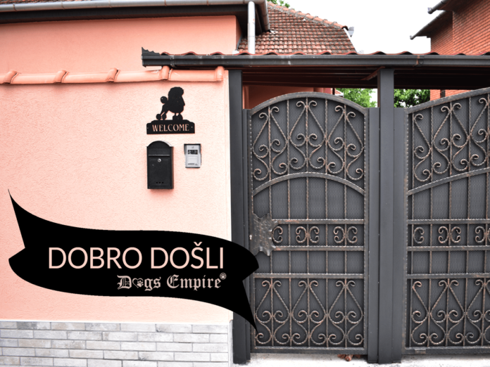 pansion-za-pse-dogs-empire-novi-sad