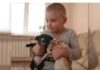 IMA SAMO ŠEST GODINA I POMAŽE NAPUŠTENIM ŽIVOTINJAMA (VIDEO)