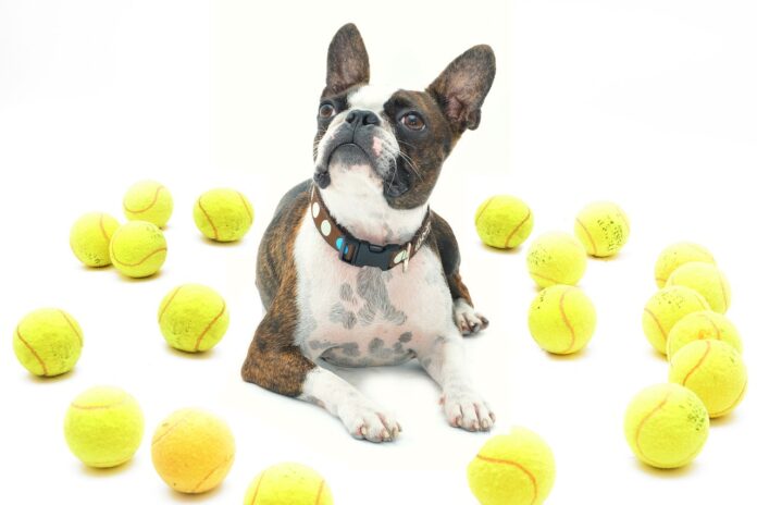 pas-tenis-lopta