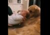 KAKO IZGLEDA LJUBAV PREMA PSIMA OD MALIH NOGU? (VIDEO) ljubav-prema-psima-beba-pas