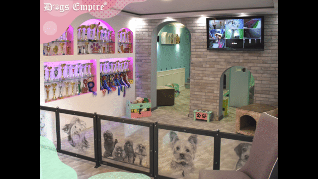 pansion-za-pse-dogs-empire-novi-sad